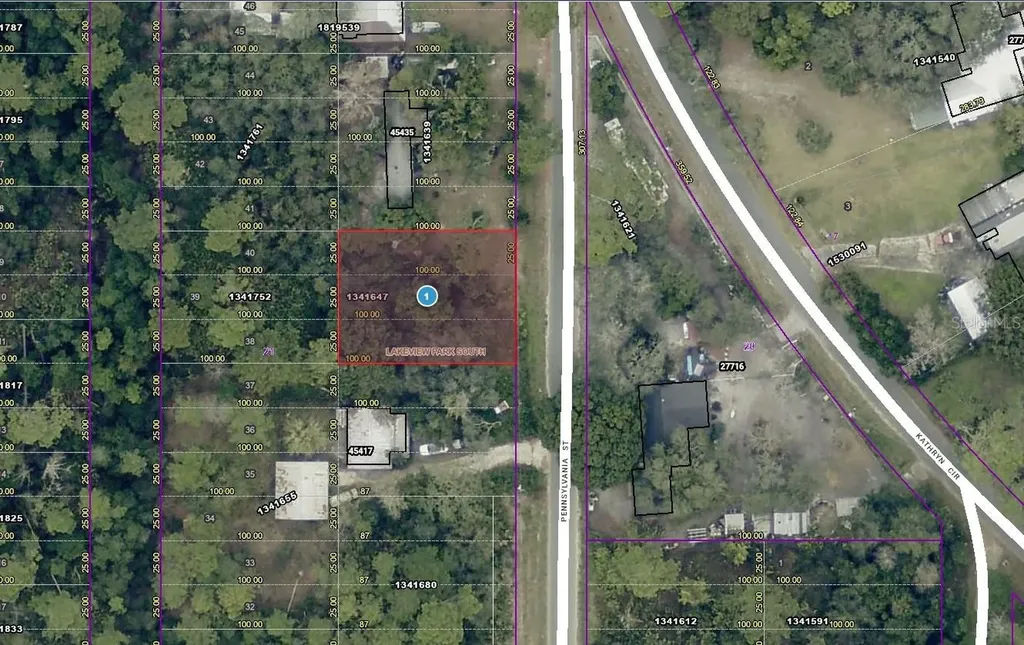 15-17-28-0100-021-00900 Pennsylvania Street Paisley FL 32767