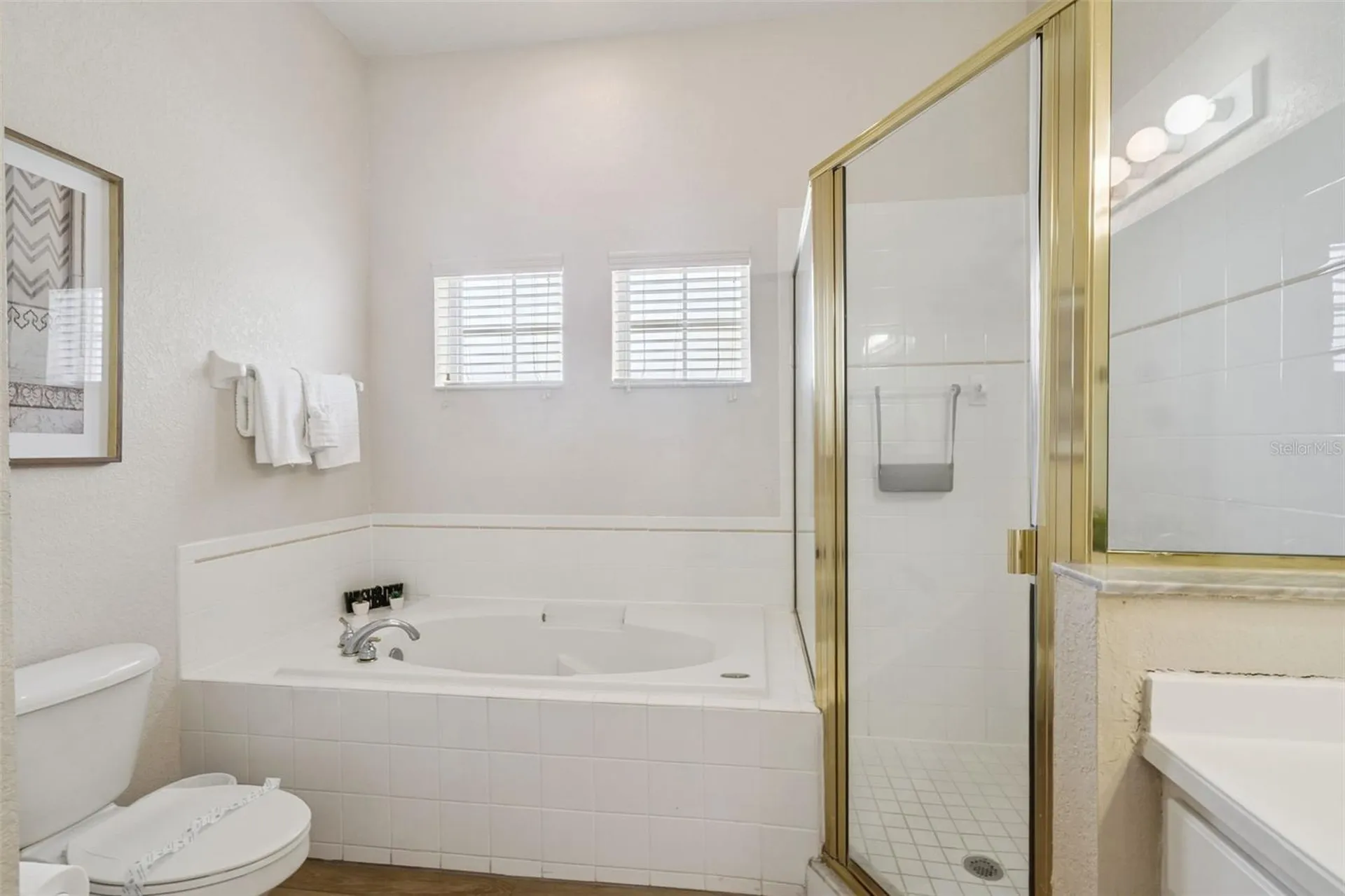 313 Lucaya Loop Davenport FL 33897