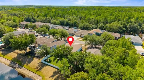 2101 Harcourt Place Odessa FL 33556
