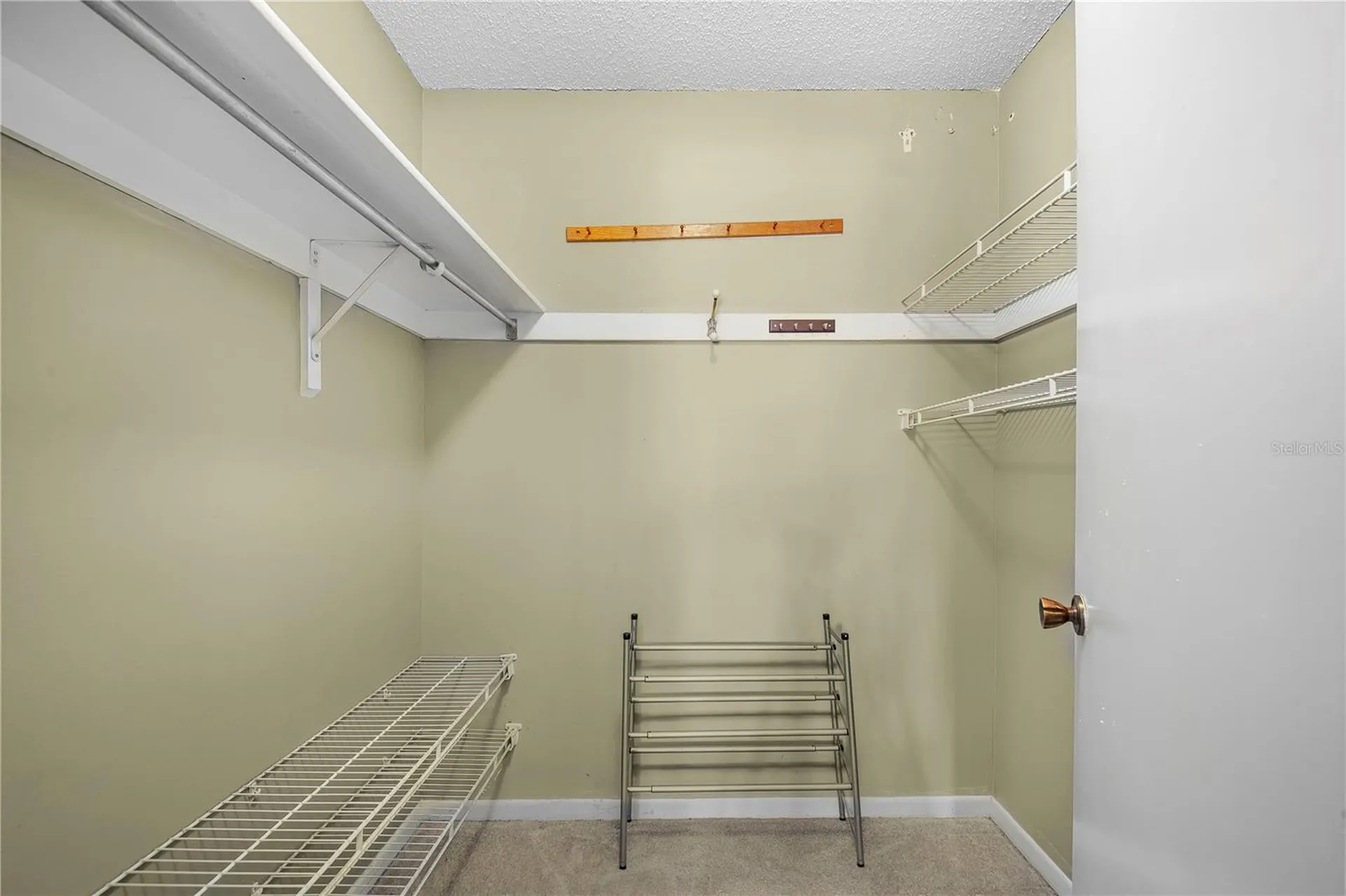 11857 Northtrail Avenue Temple Terrace FL 33617