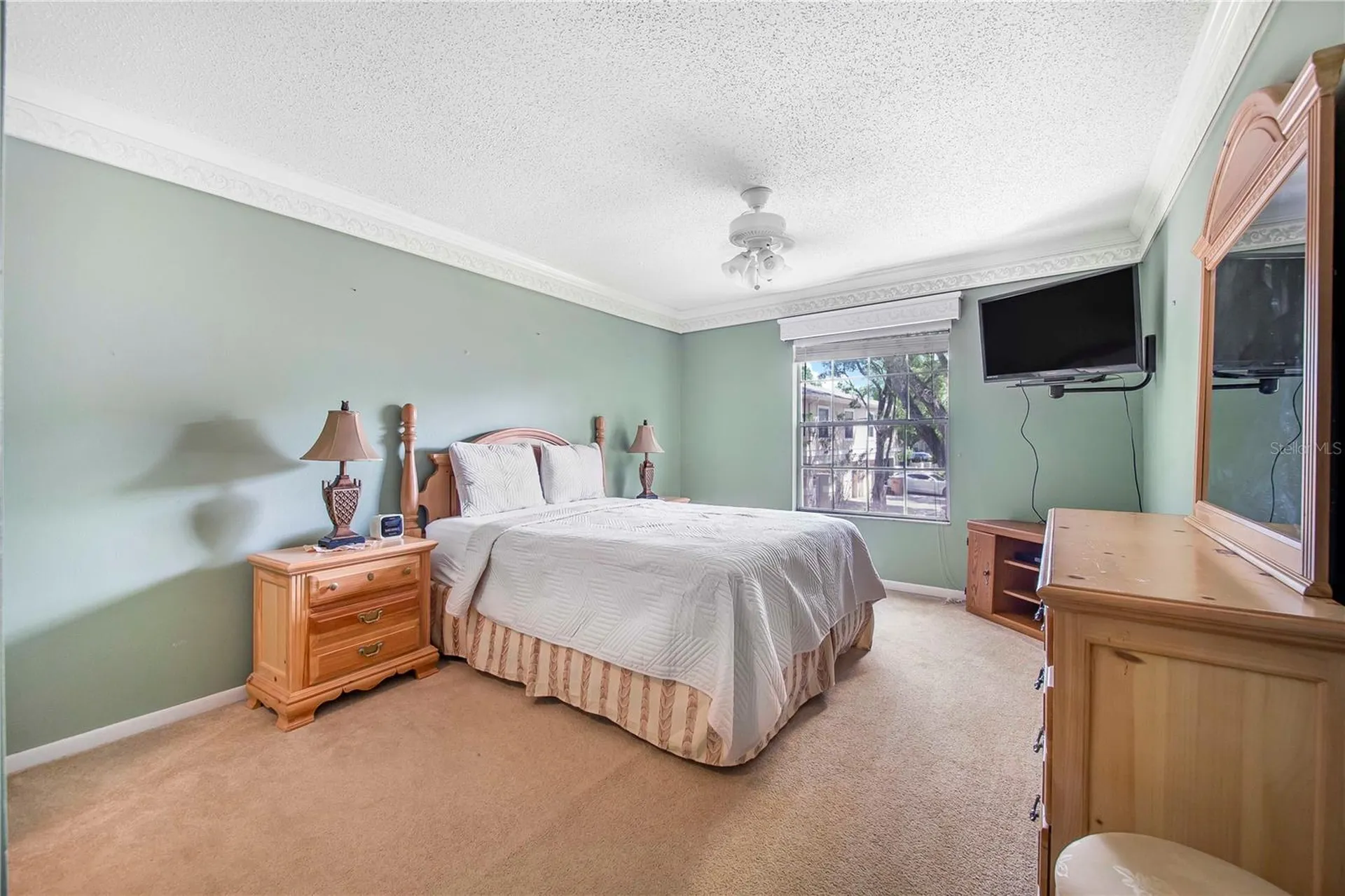 11857 Northtrail Avenue Temple Terrace FL 33617