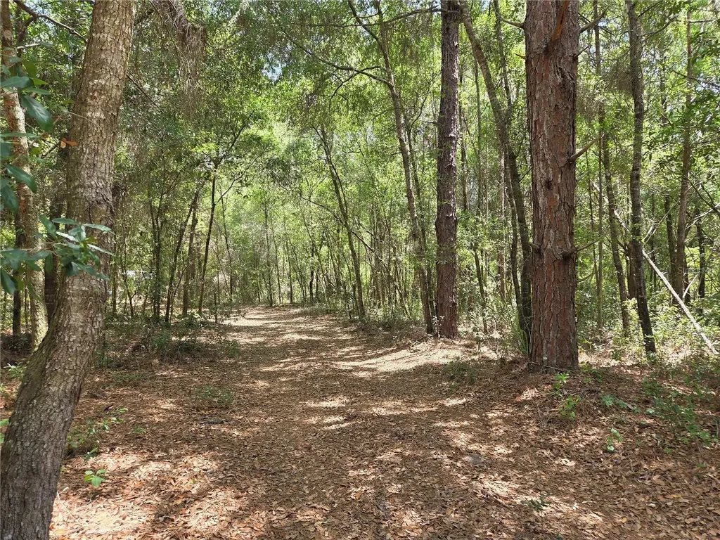 11953 N Glenview Avenue Dunnellon FL 34434