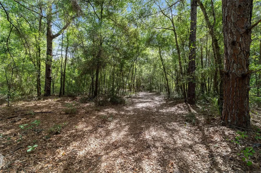 11953 N Glenview Avenue Dunnellon FL 34434