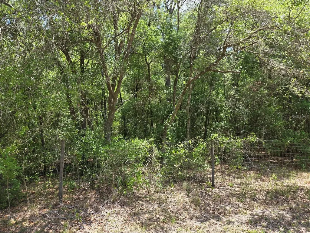11953 N Glenview Avenue Dunnellon FL 34434