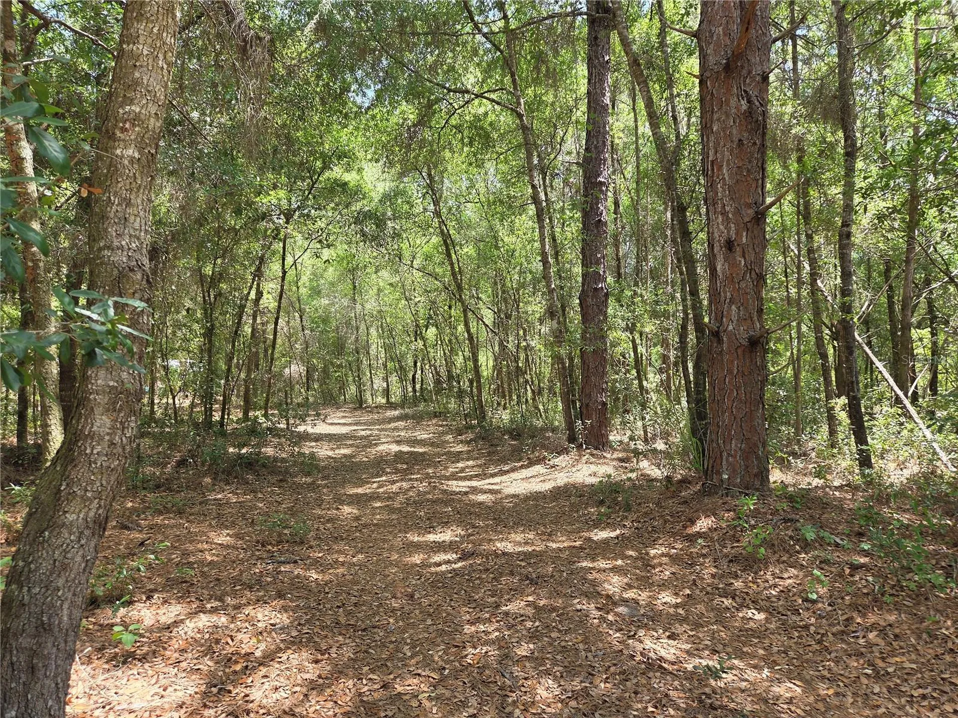 11953 N Glenview Avenue Dunnellon FL 34434
