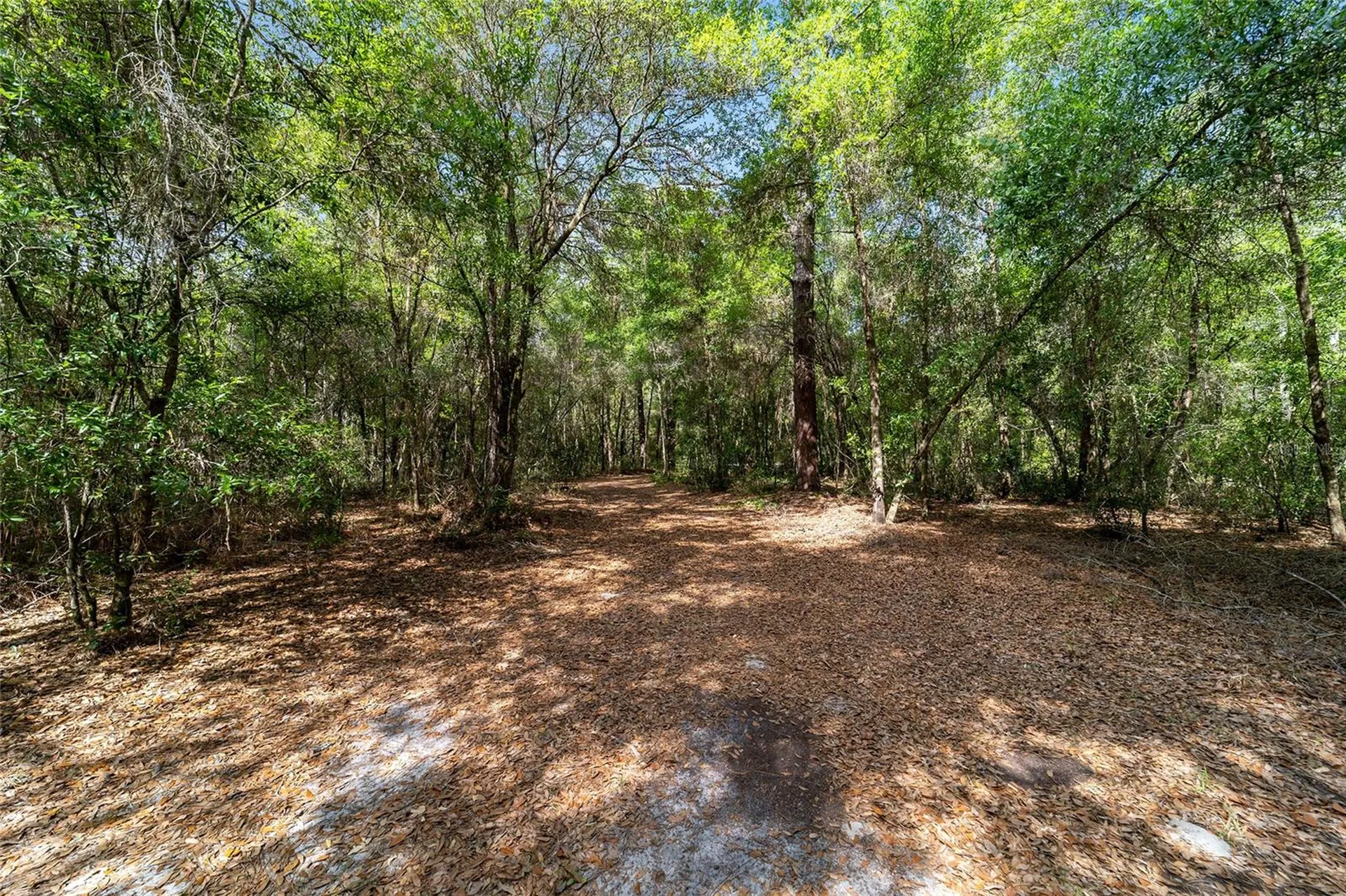 11953 N Glenview Avenue Dunnellon FL 34434