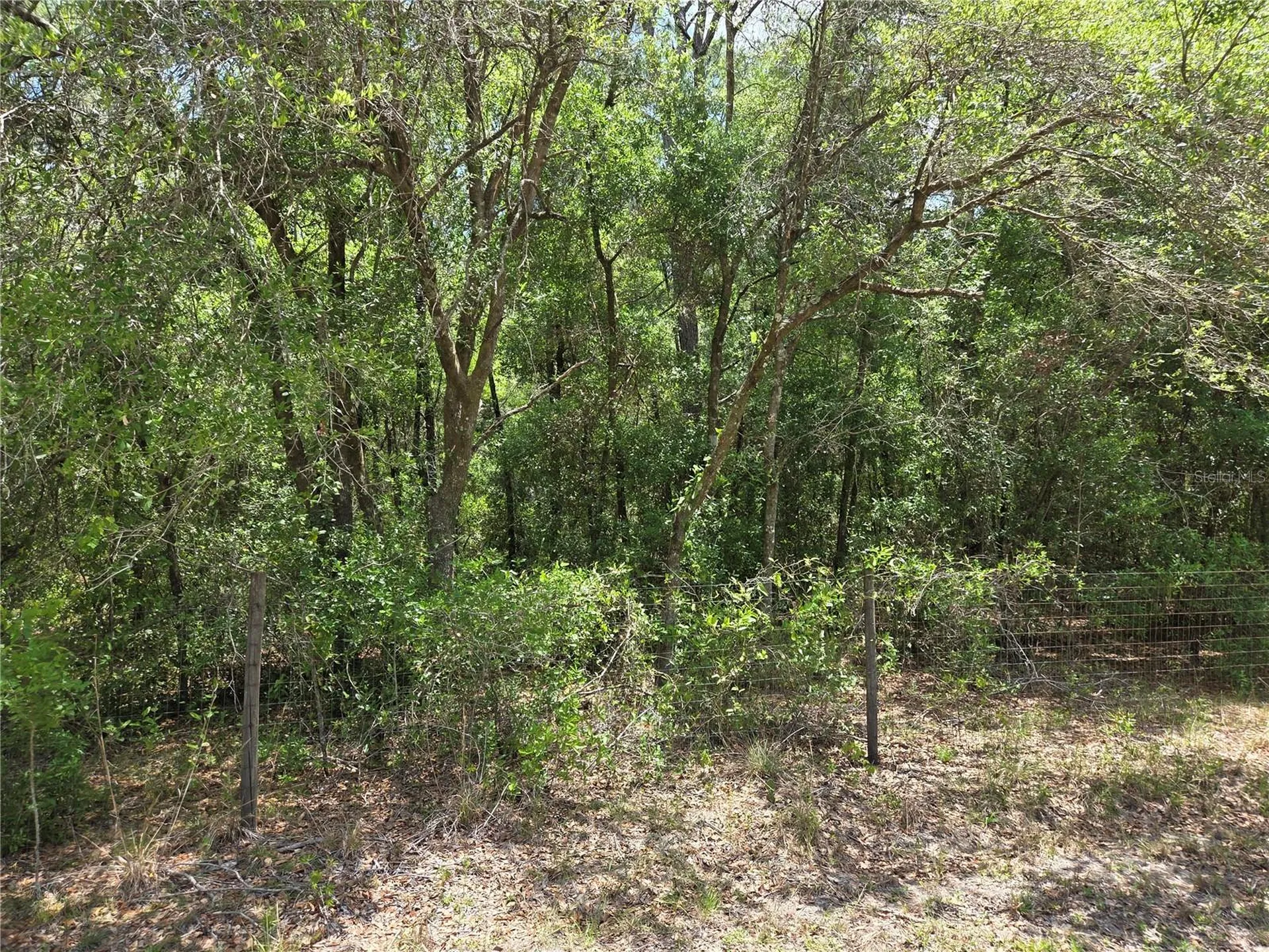 11953 N Glenview Avenue Dunnellon FL 34434
