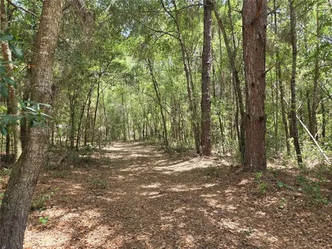 11953 N Glenview Avenue Dunnellon FL 34434