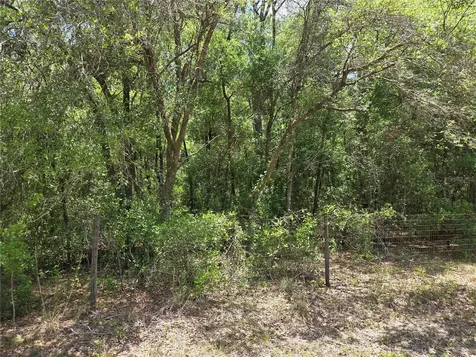 11953 N Glenview Avenue Dunnellon FL 34434