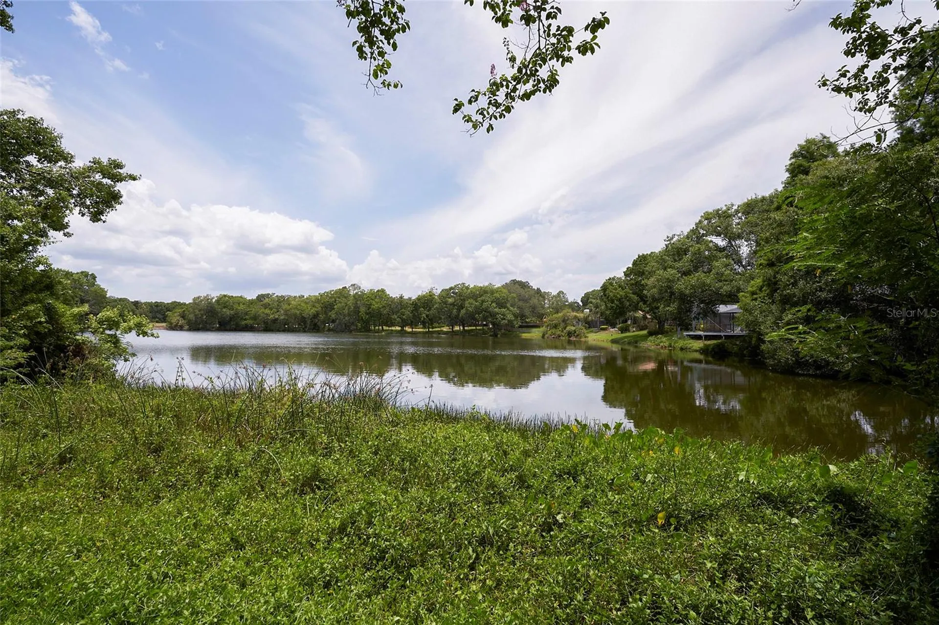 11905 Lakemist Circle Temple Terrace FL 33617