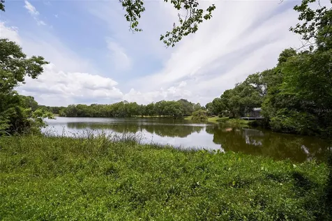 11905 Lakemist Circle Temple Terrace FL 33617
