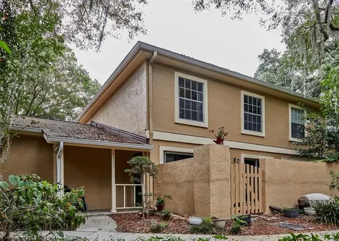 11905 Lakemist Circle Temple Terrace FL 33617