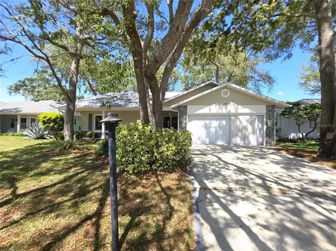 6408 Pine Meadows Drive Spring Hill FL 34606