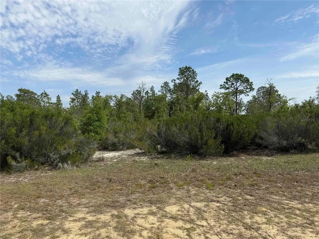 Tbd NE 110 Avenue Bronson FL 32621