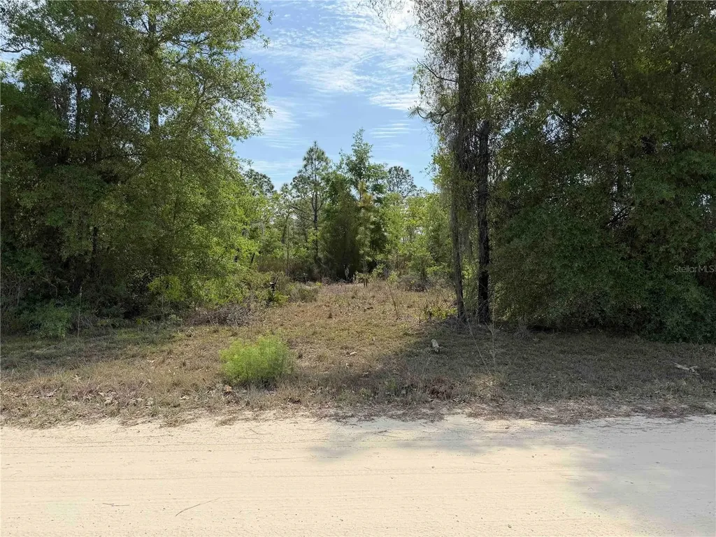 Tbd NE 110 Avenue Bronson FL 32621