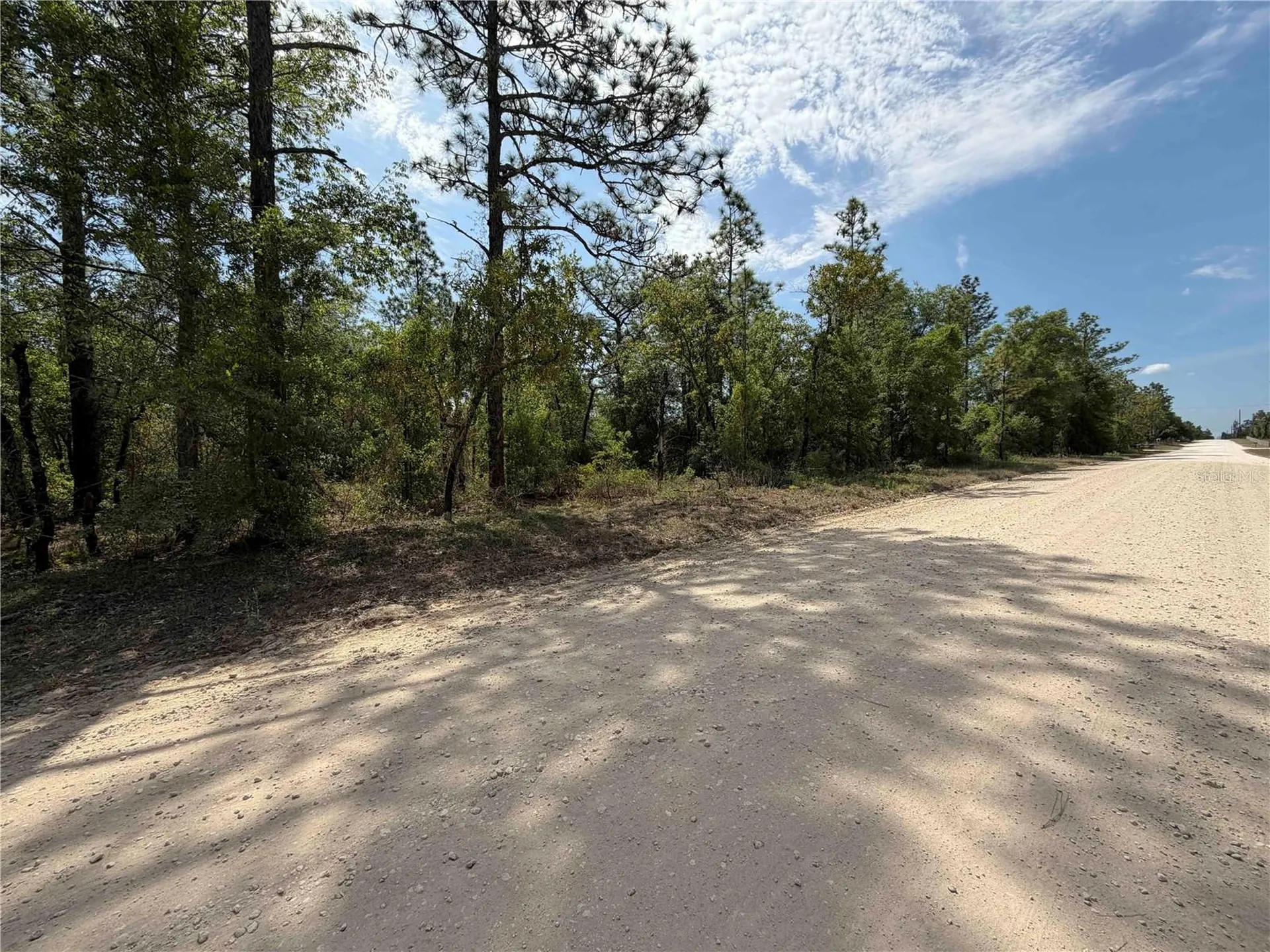 Tbd NE 110 Avenue Bronson FL 32621