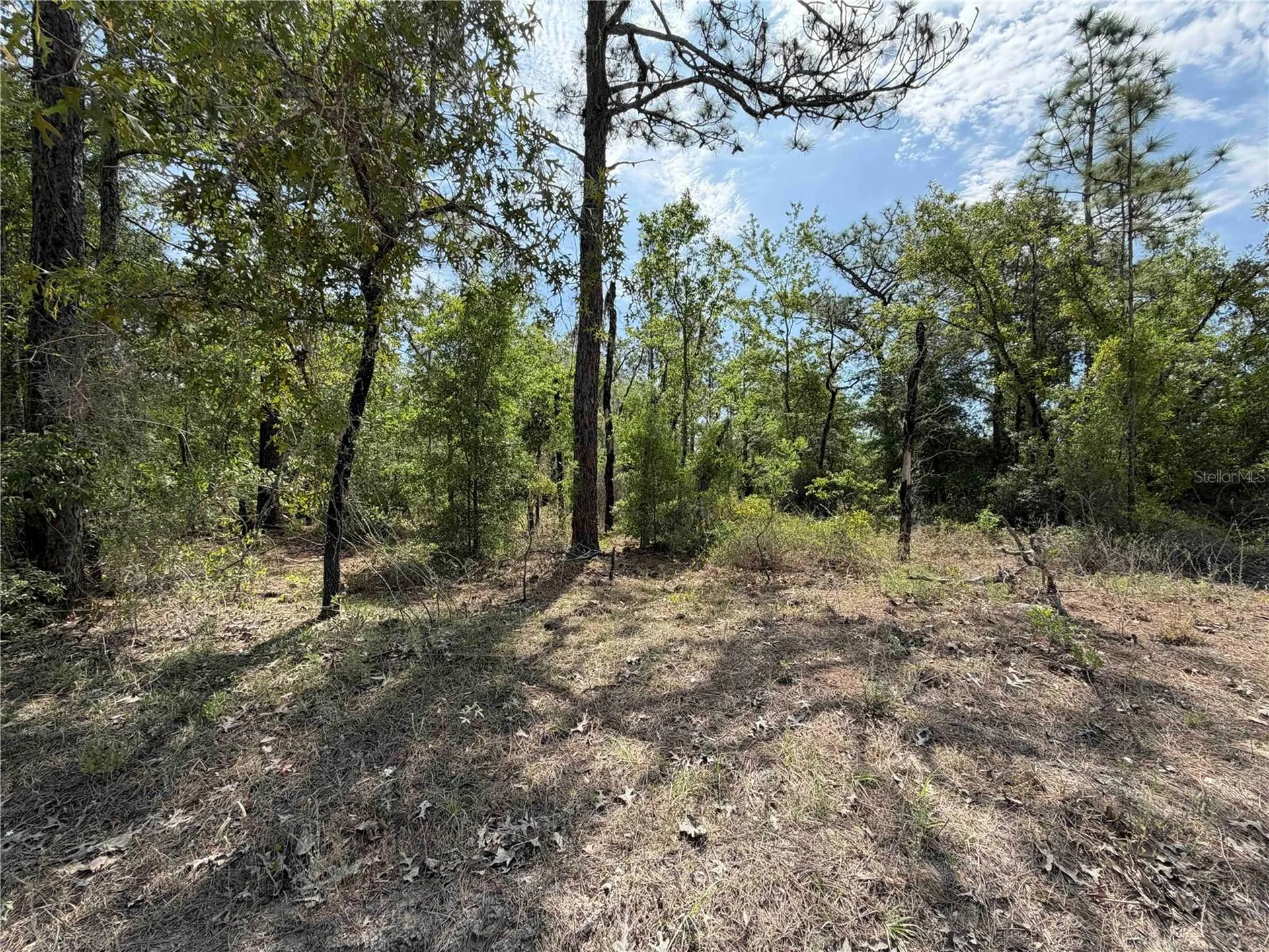 Tbd NE 110 Avenue Bronson FL 32621