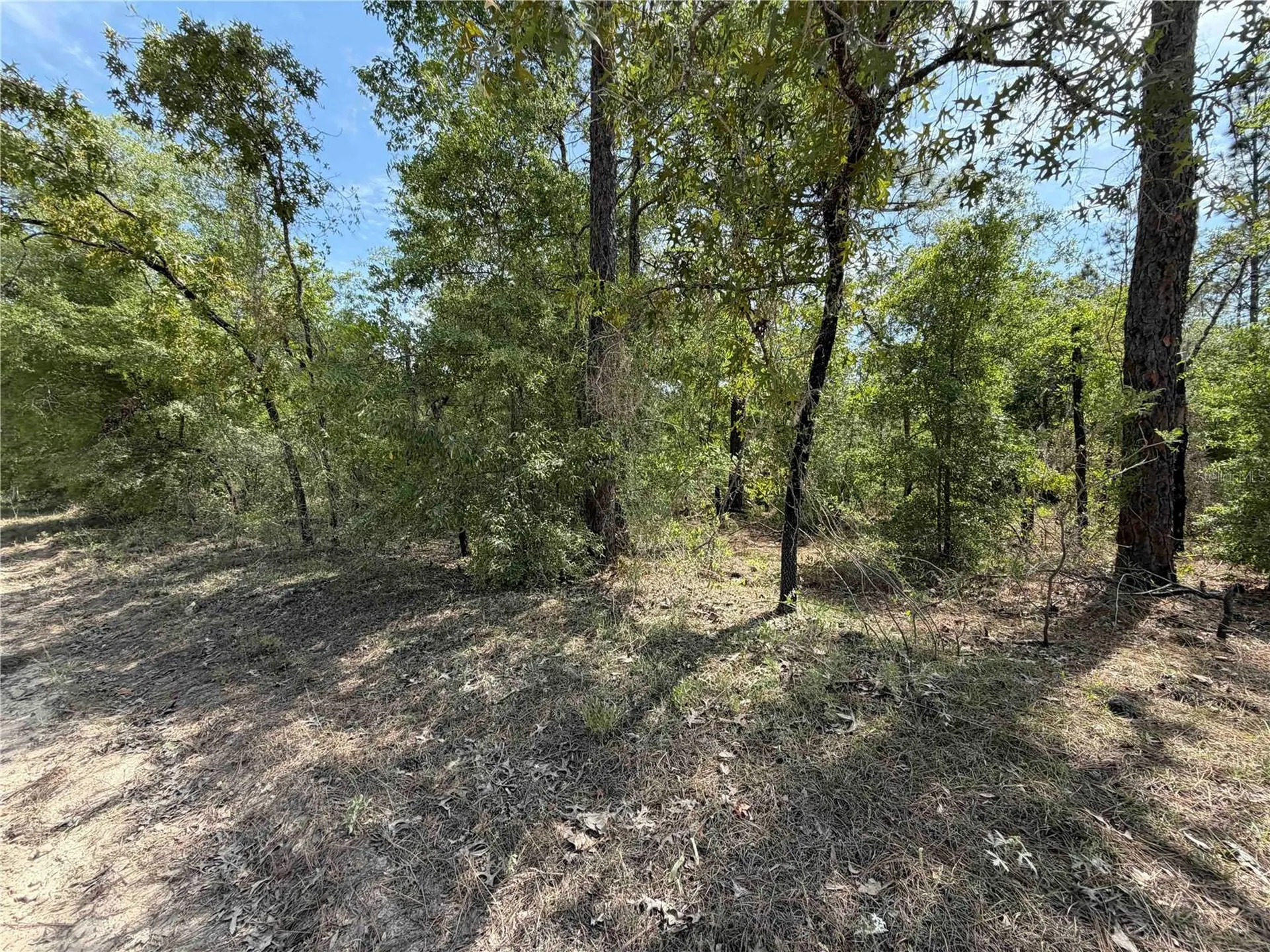 Tbd NE 110 Avenue Bronson FL 32621