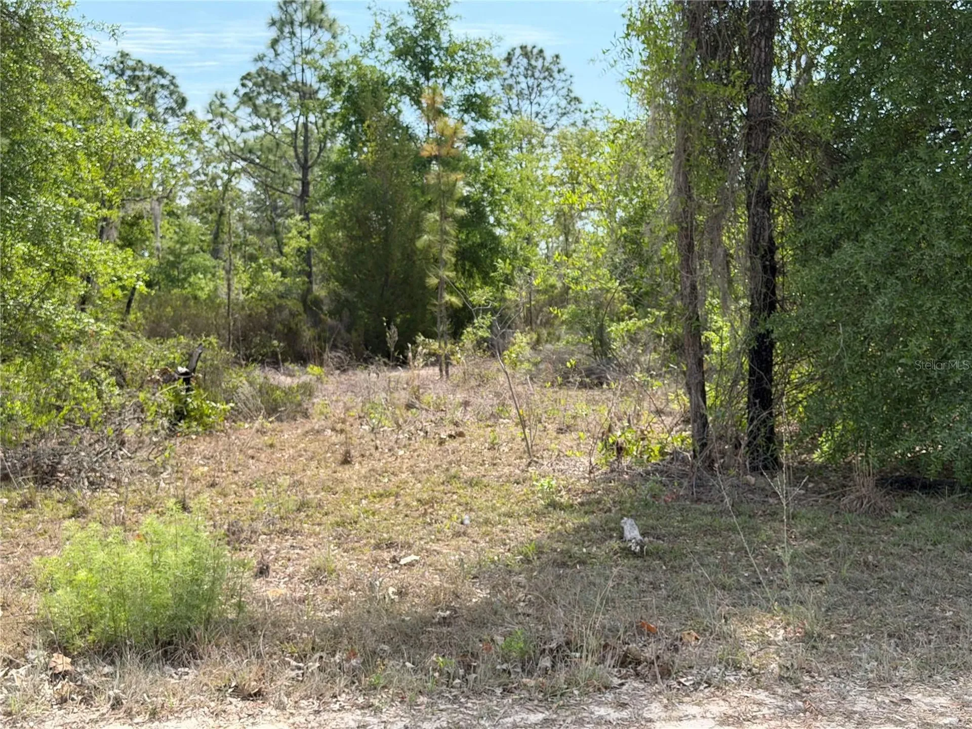Tbd NE 110 Avenue Bronson FL 32621