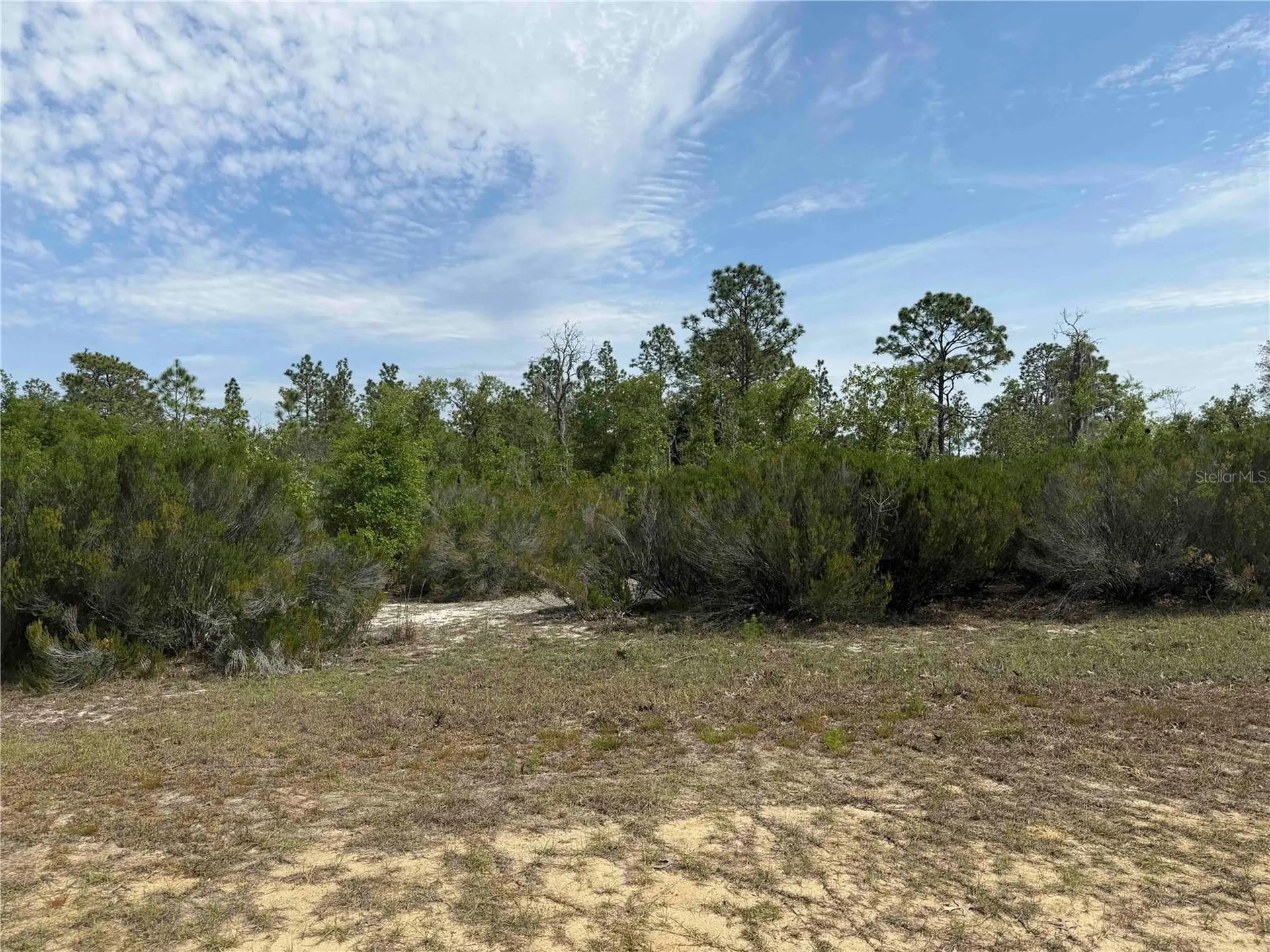 Tbd NE 110 Avenue Bronson FL 32621