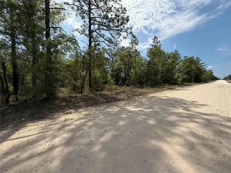 TBD NE 110 Avenue Bronson FL 32621