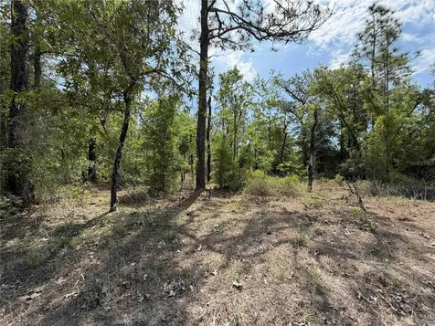 TBD NE 110 Avenue Bronson FL 32621