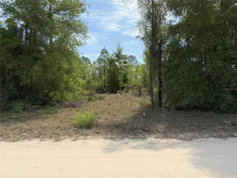 Tbd NE 110 Avenue Bronson FL 32621