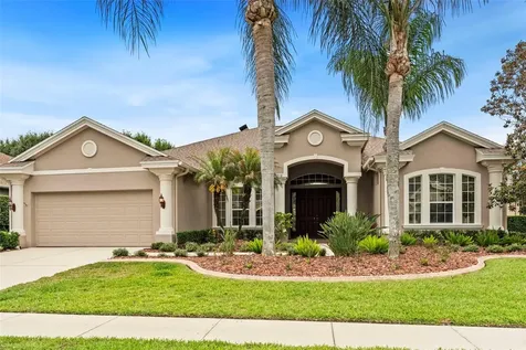23316 Gracewood Circle Land O Lakes FL 34639