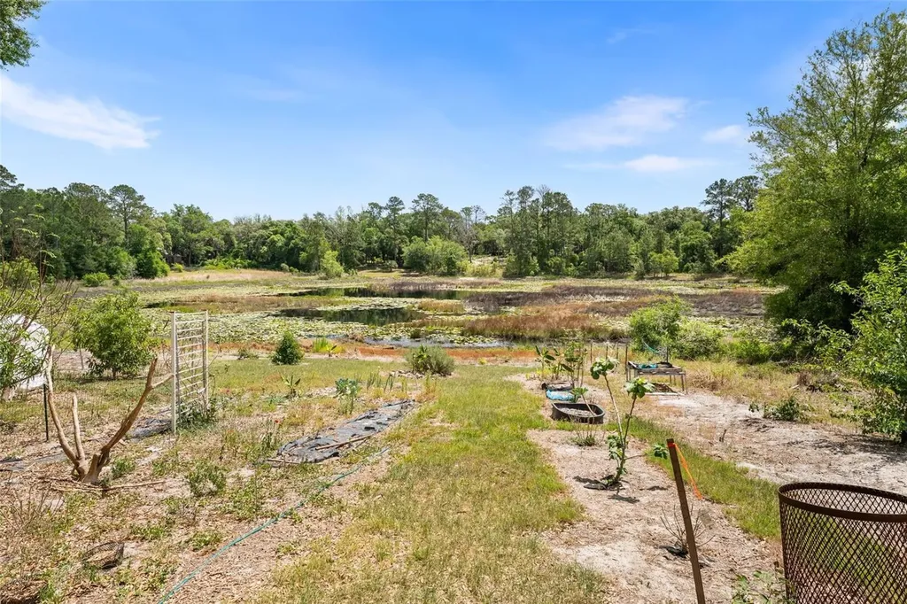 5841 SE 164th Avenue Ocklawaha FL 32179