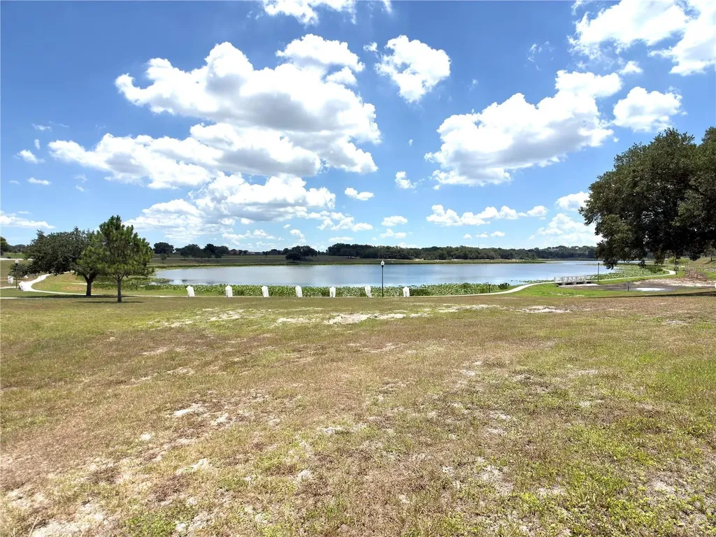 1378 Legatto Loop Dundee FL 33838