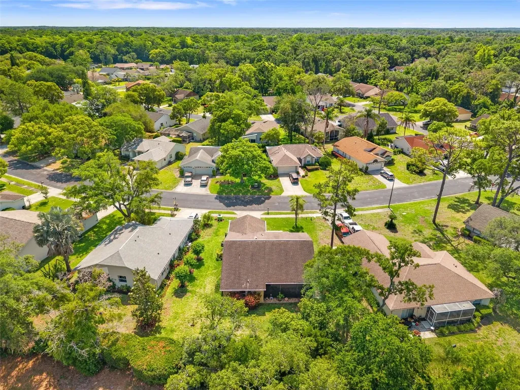10311 Pineneedles Drive New Port Richey FL 34654