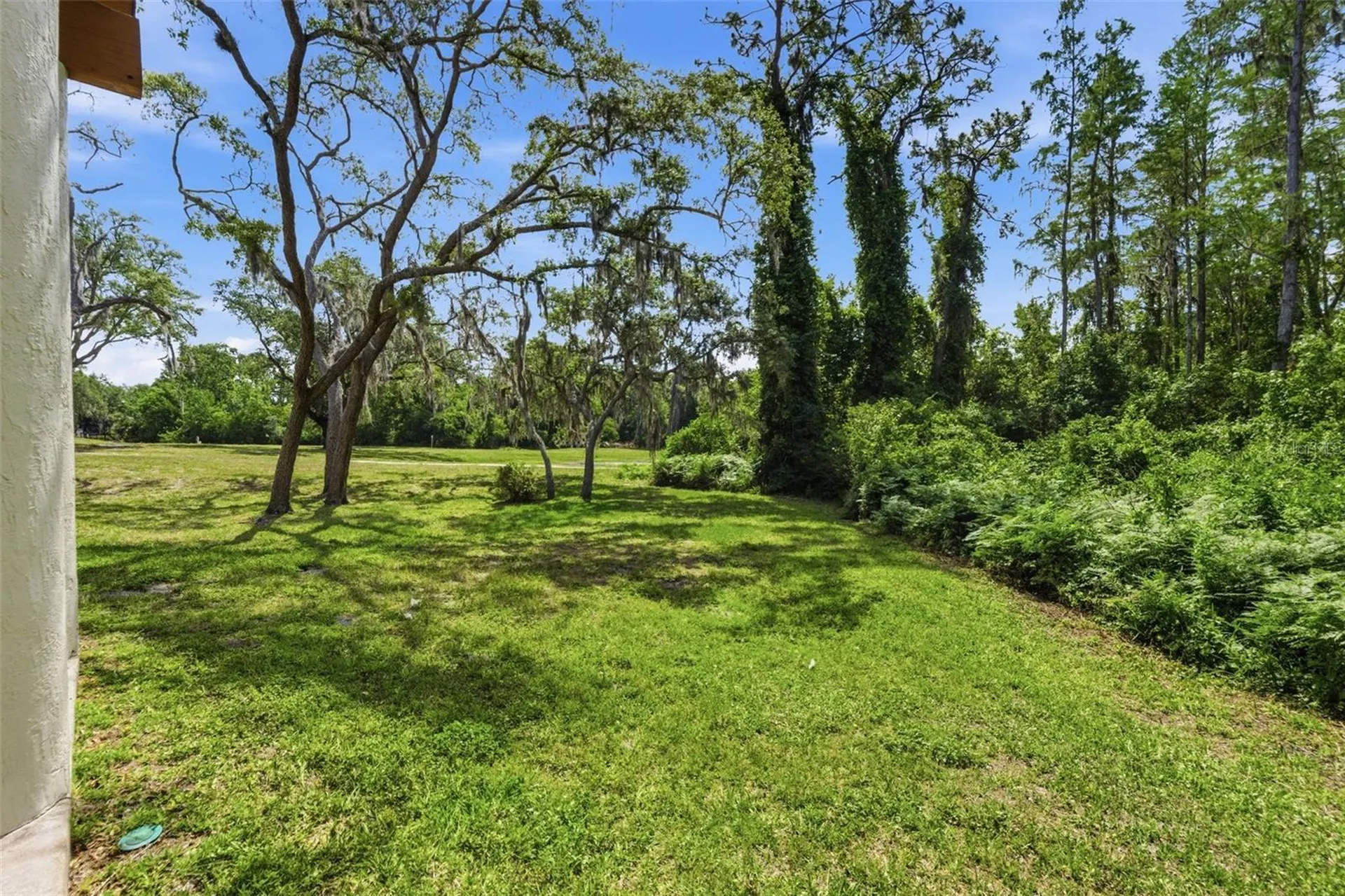 10311 Pineneedles Drive New Port Richey FL 34654