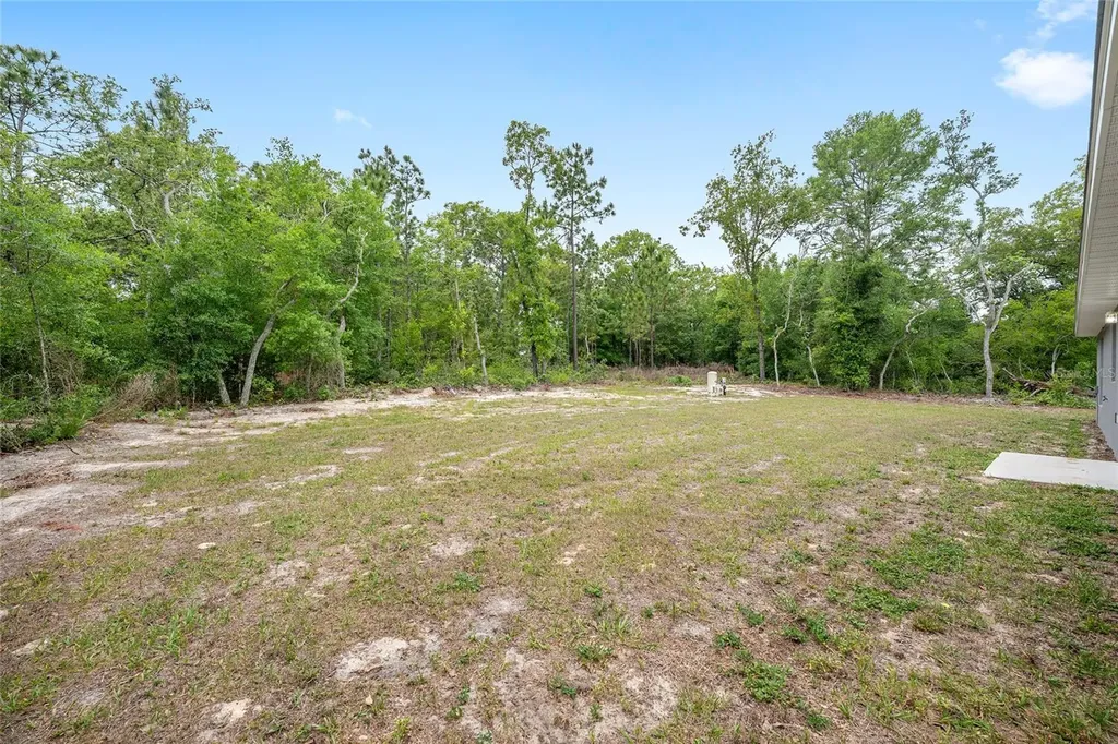 11400 N Terra Cotta Drive Citrus Springs FL 34434