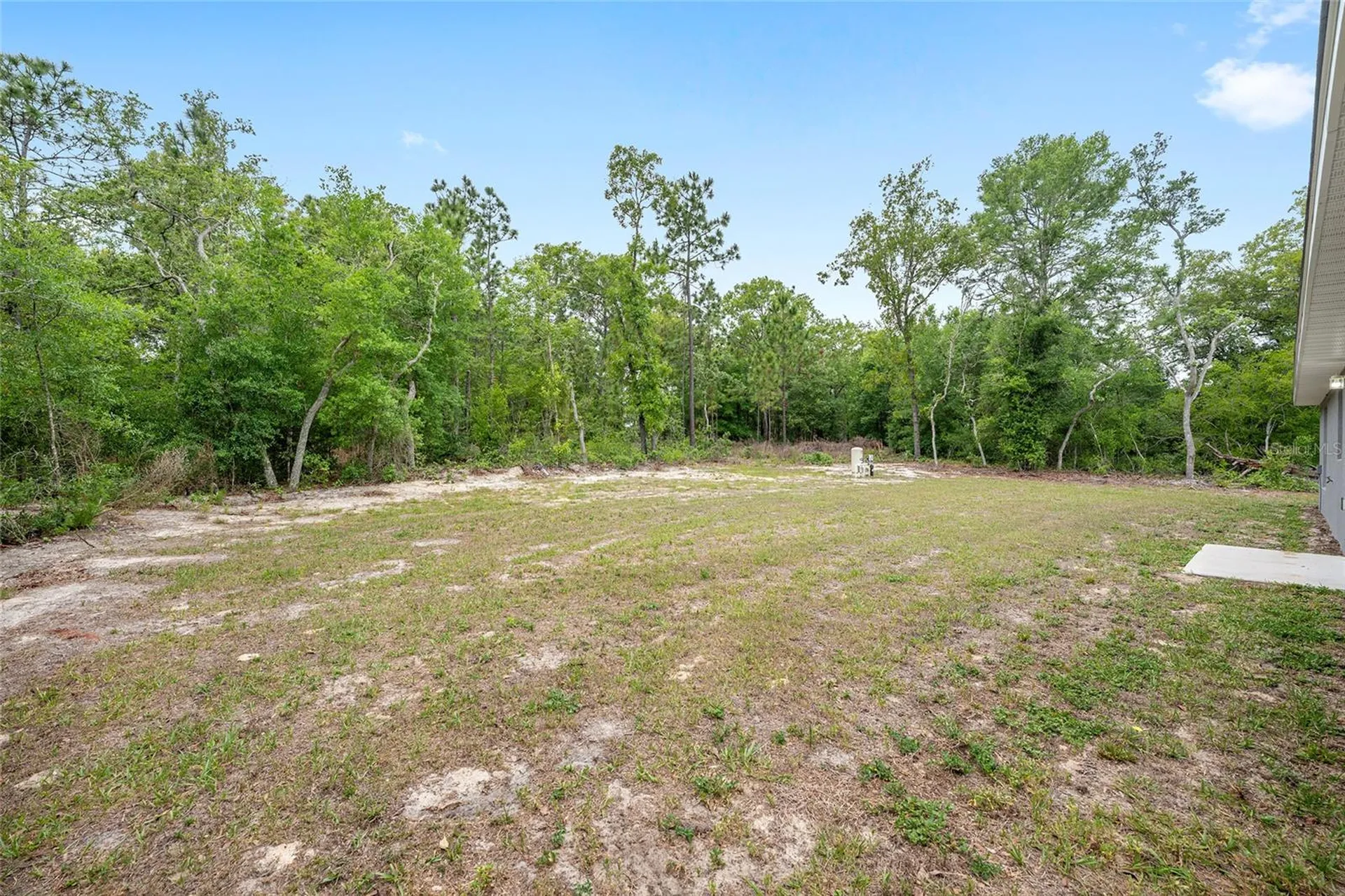 11400 N Terra Cotta Drive Citrus Springs FL 34434