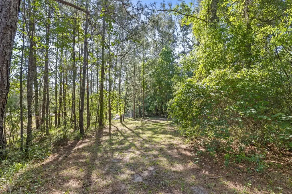 22250 Deer Park Avenue Eustis FL 32736