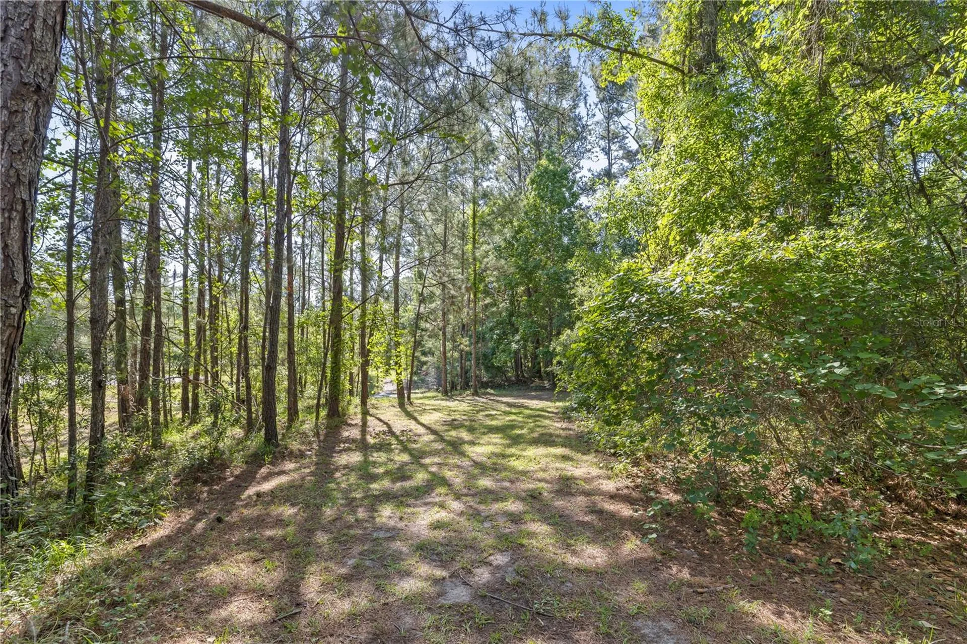 22250 Deer Park Avenue Eustis FL 32736