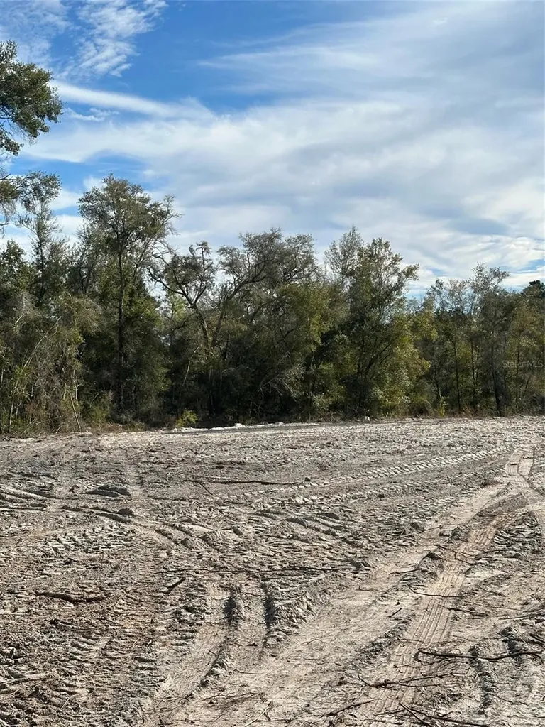 Berryhill Drive Webster FL 33597