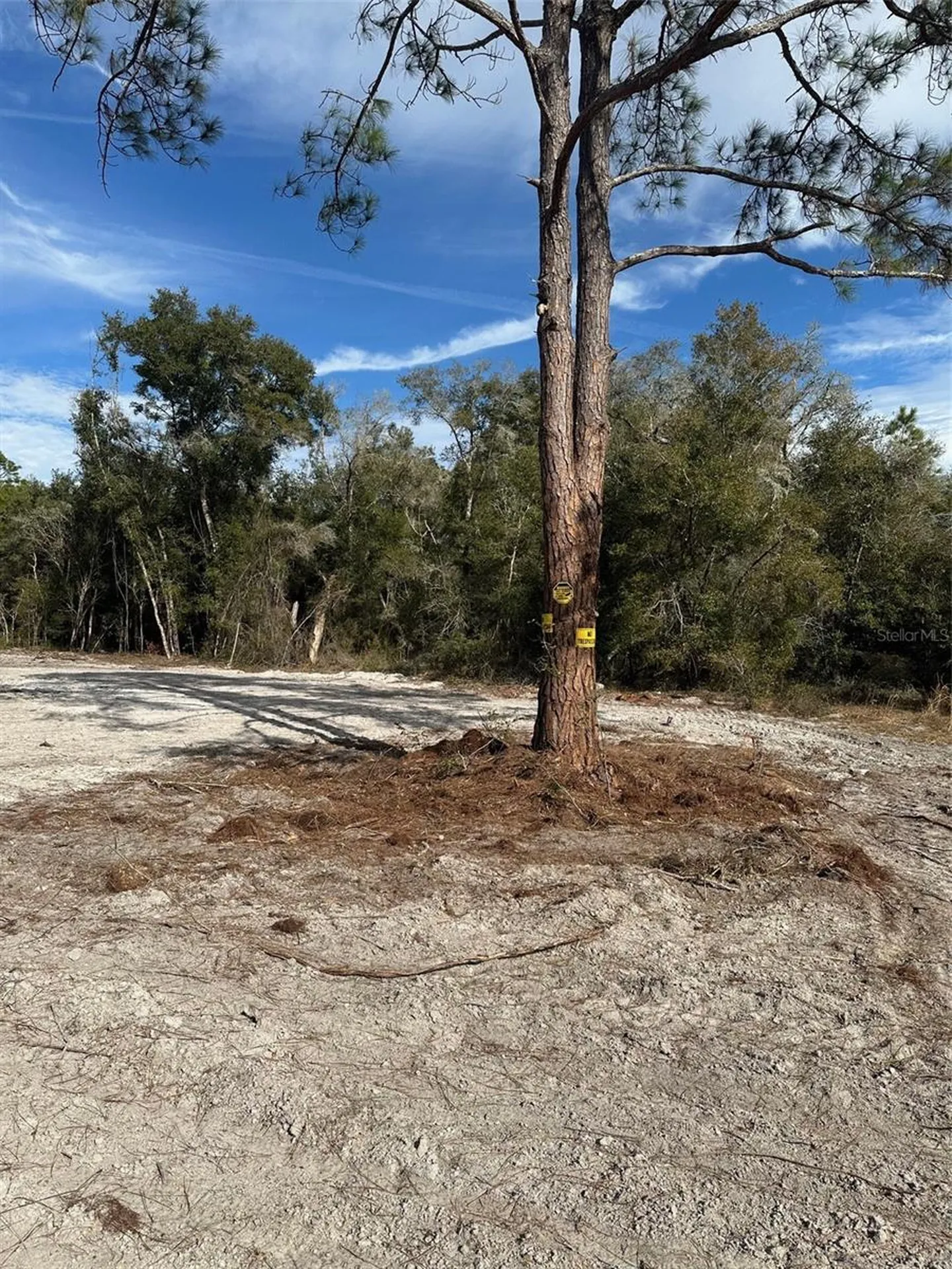Berryhill Drive Webster FL 33597