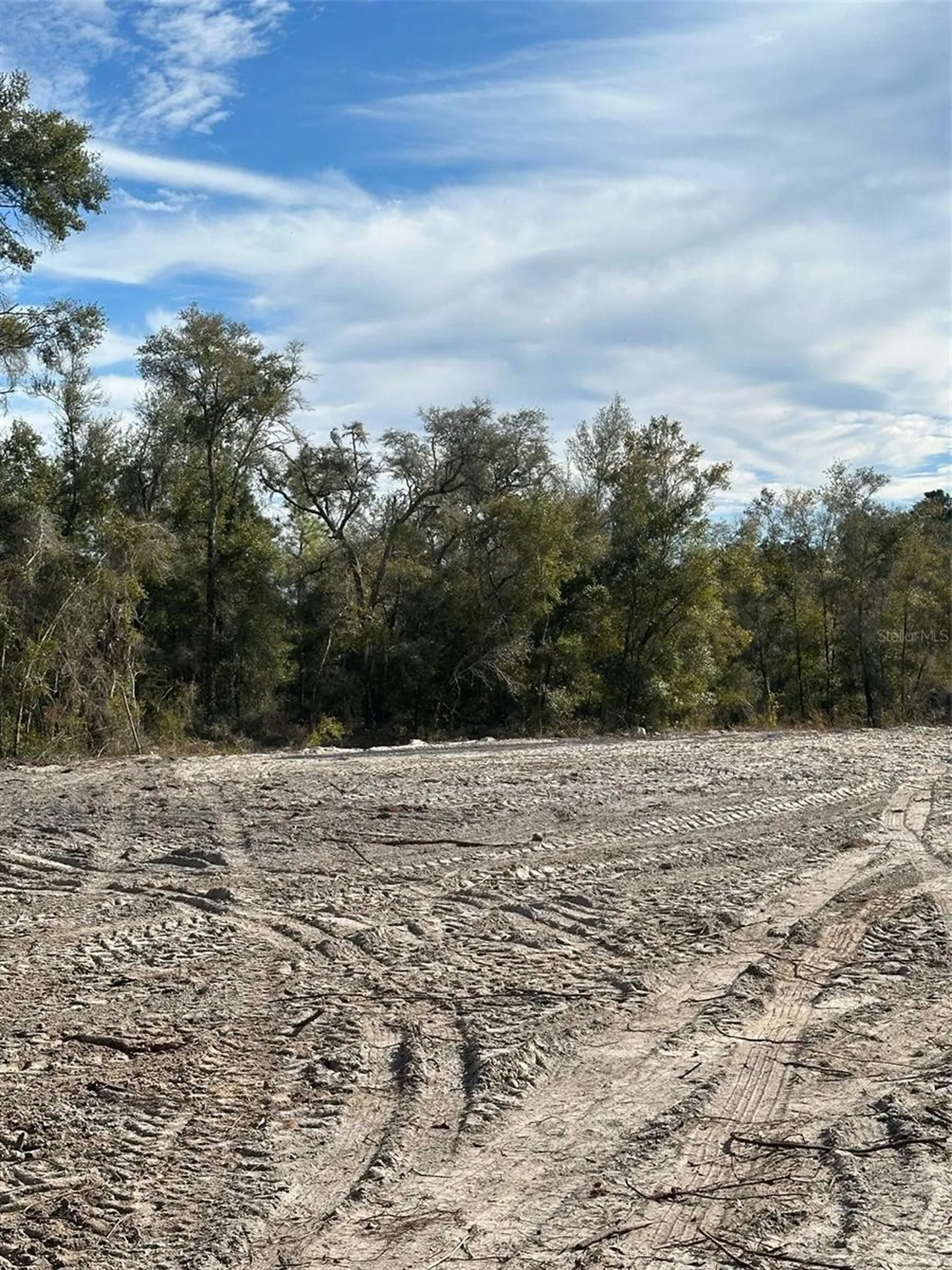 Berryhill Drive Webster FL 33597