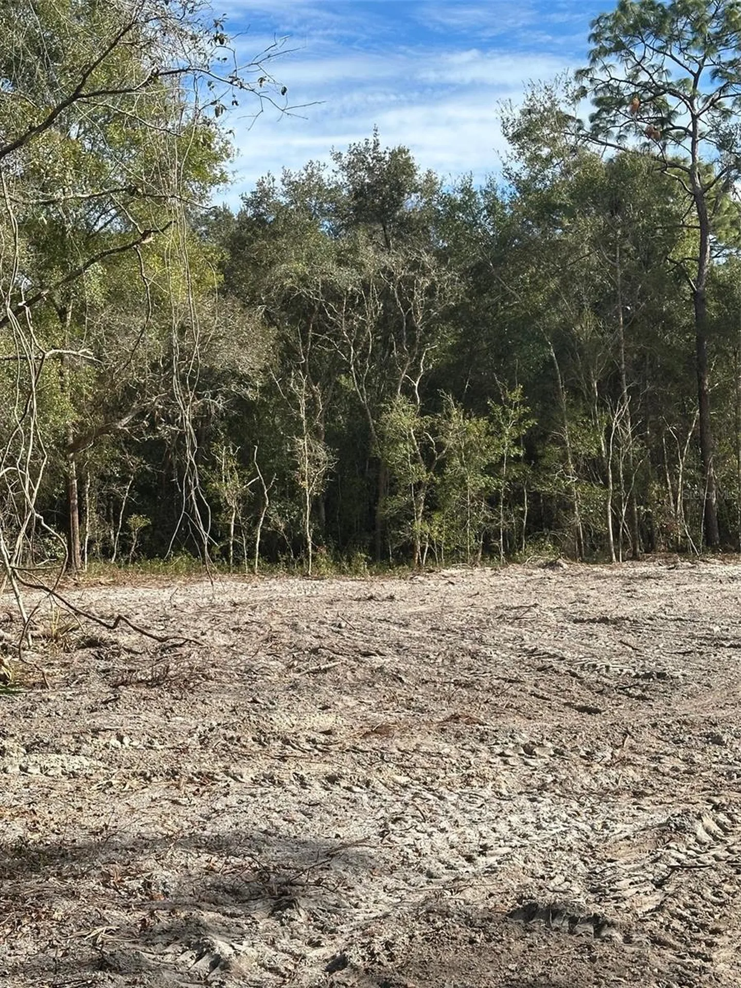 Berryhill Drive Webster FL 33597