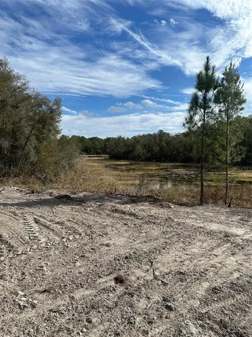 Berryhill Drive Webster FL 33597