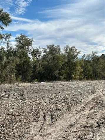 Berryhill Drive Webster FL 33597