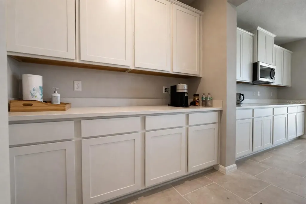 33546 Darley Dale Trail Wesley Chapel FL 33545