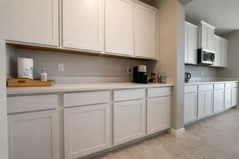 33546 Darley Dale Trail Wesley Chapel FL 33545