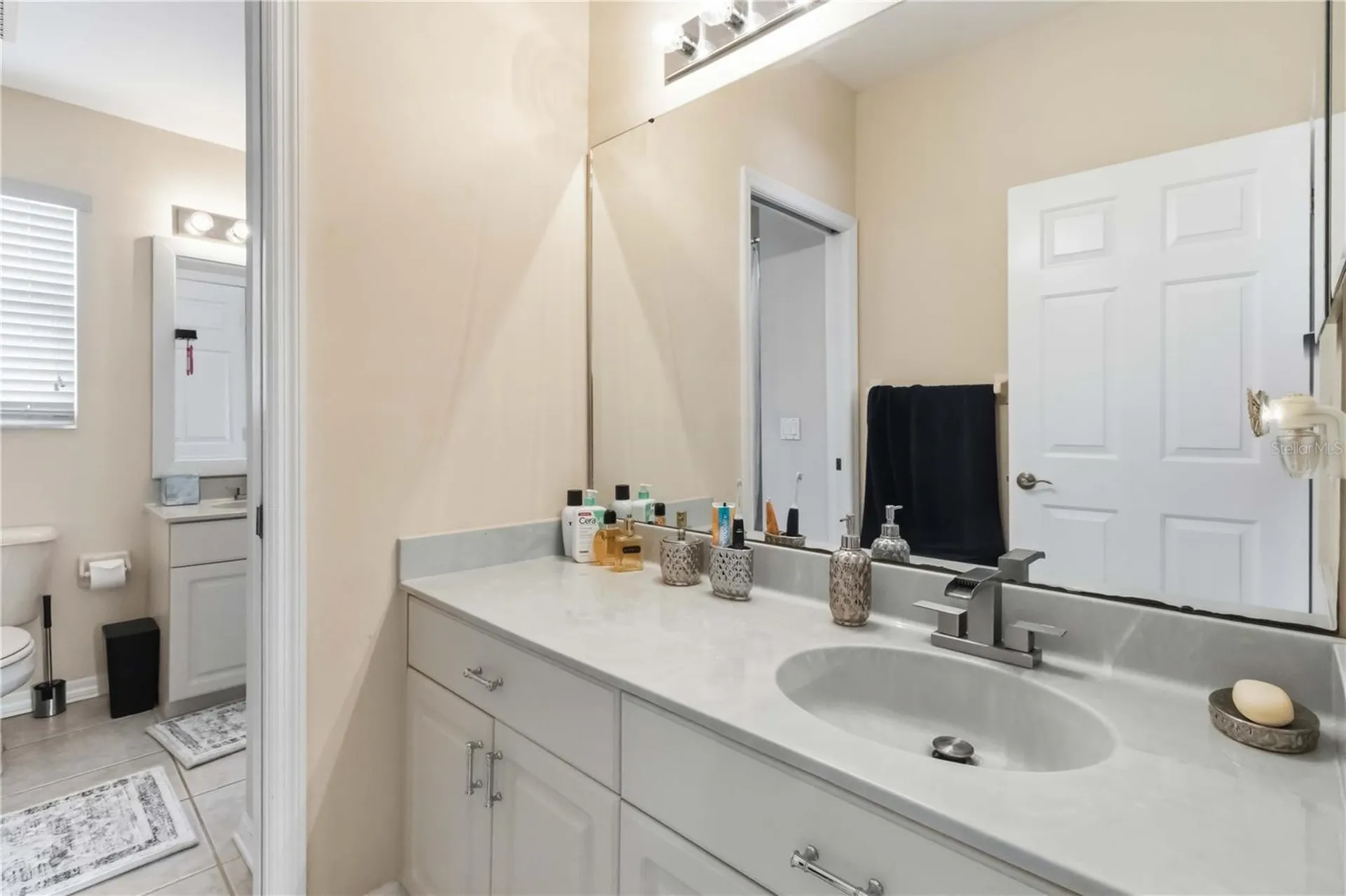 10436 Canary Isle Drive Tampa FL 33647