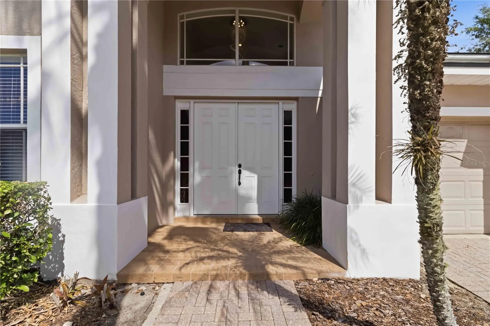 10436 Canary Isle Drive Tampa FL 33647