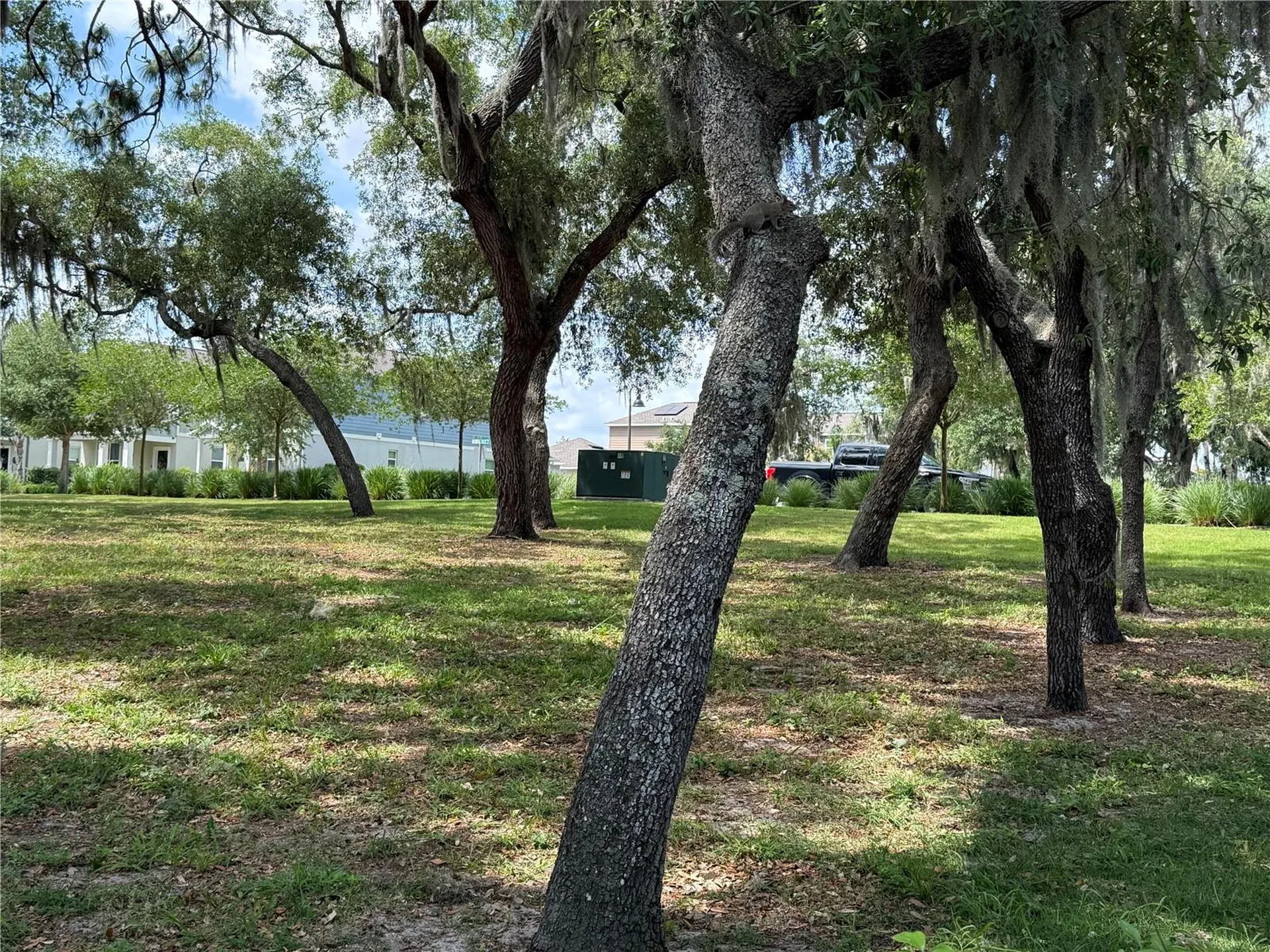 17090 Harbor Oak Parkway Winter Garden FL 34787