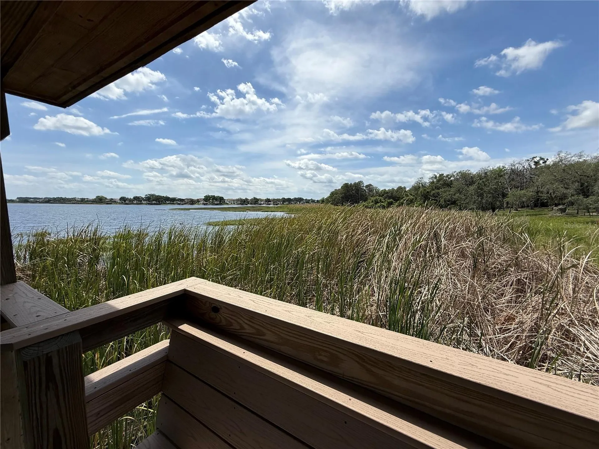 17090 Harbor Oak Parkway Winter Garden FL 34787