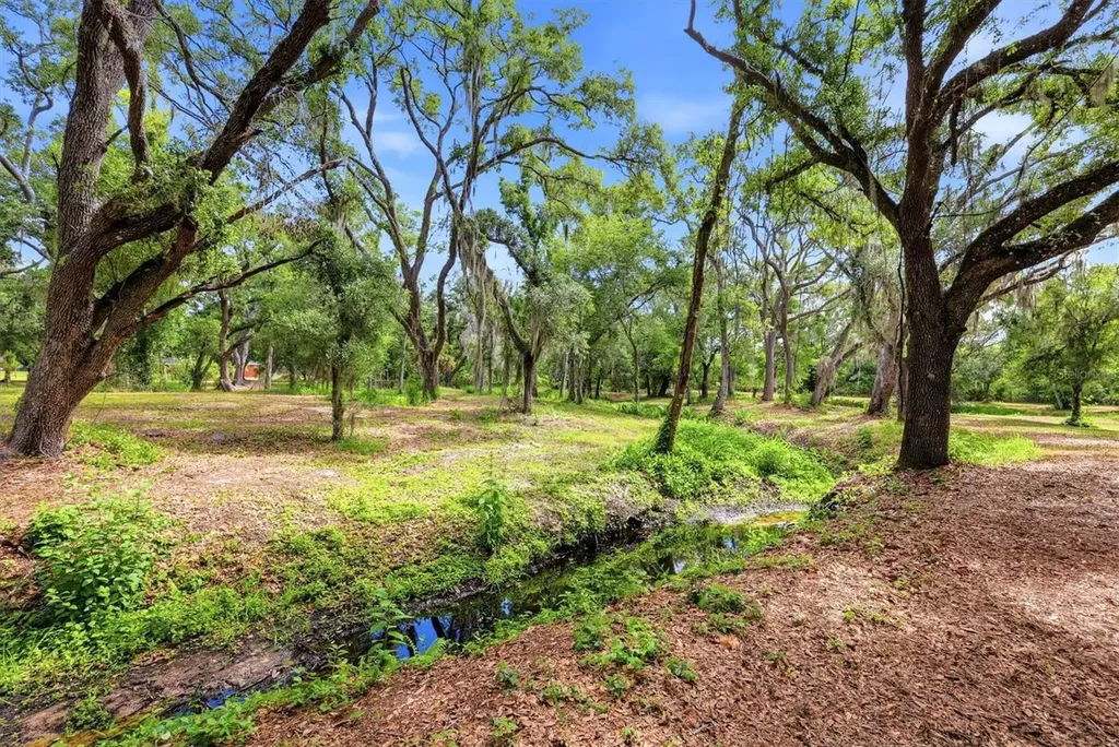 County Road 675 Myakka City FL 34251