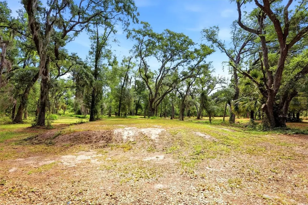 County Road 675 Myakka City FL 34251